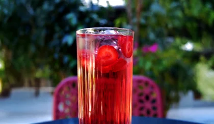 Berry Hibiscus