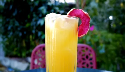 Gingerella Peach