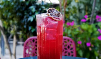 Hibiscus Fizz
