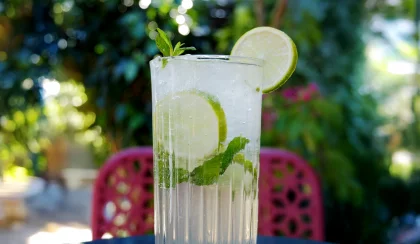 Virgin Mojito