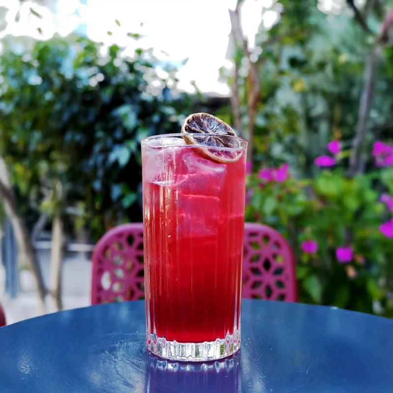 Hibiscus Fizz